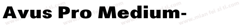 Avus Pro Medium字体转换
